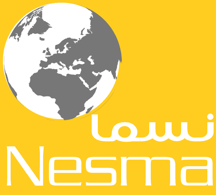 Nesma International Logo